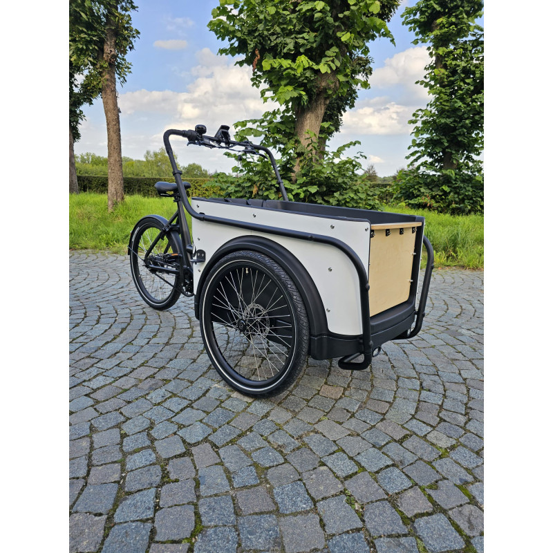 Vélo cargo électrique KidsCab Royal Deluxe 3