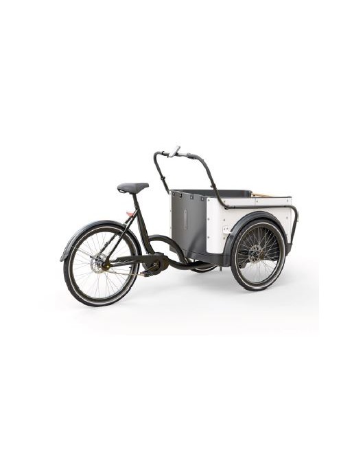 KidsCab Royal 3 Electric Cargo Bike