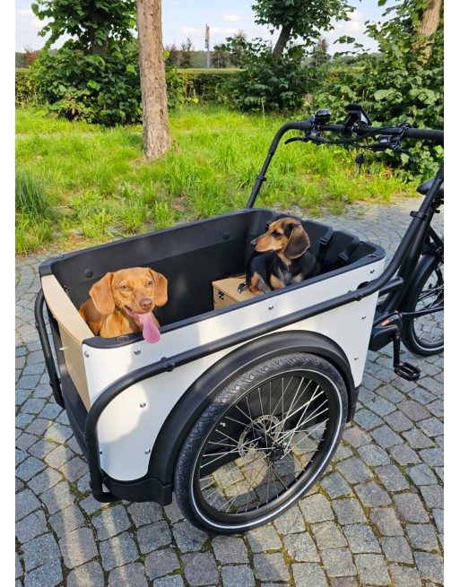 KidsCab Royal 3 elektrisches Lastenrad