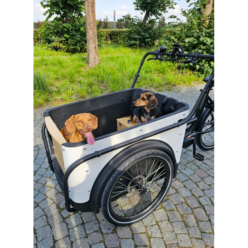Triporteur électrique KidsCab Royal 3