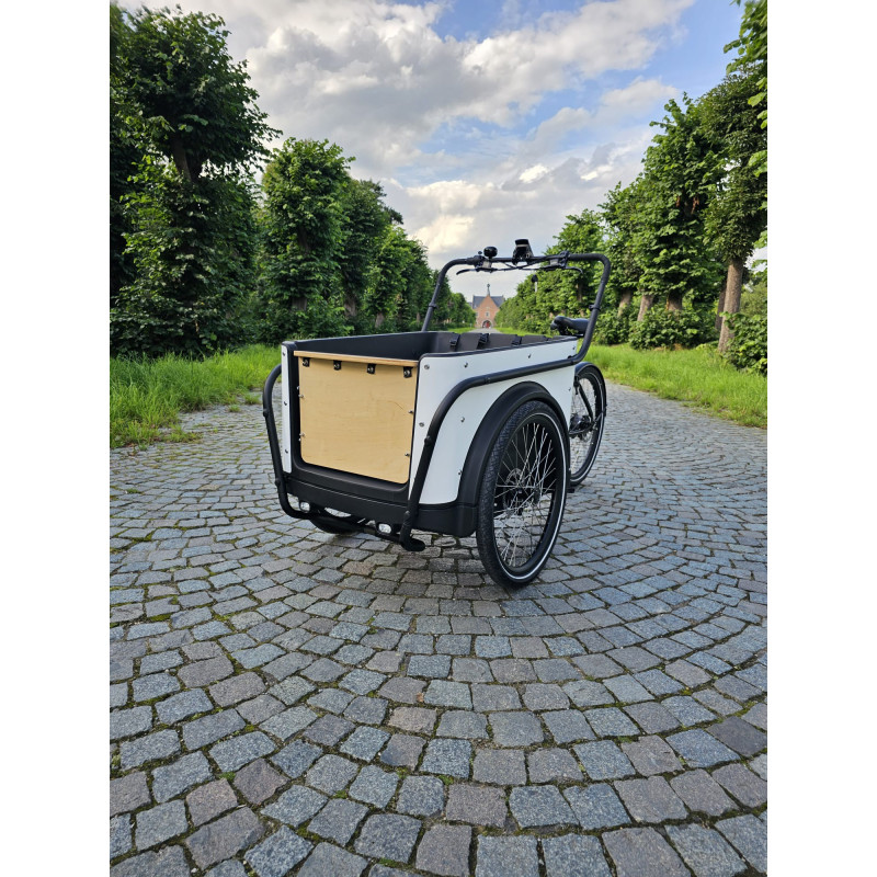 KidsCab Royal 3 Electric Cargo Bike