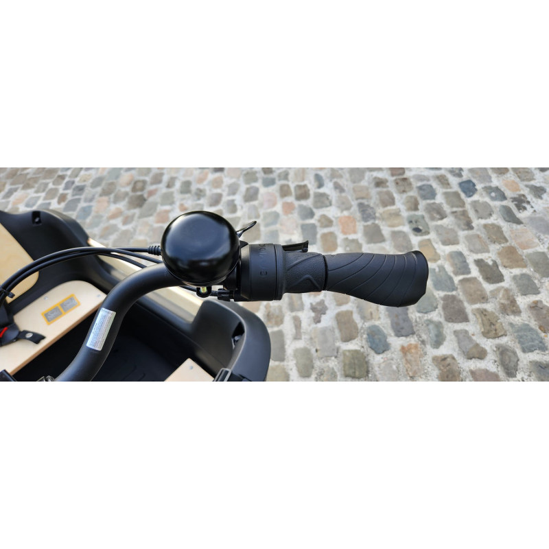 KidsCab Royal Deluxe 2 Electric Cargobike - Enviolo Carbon Gates