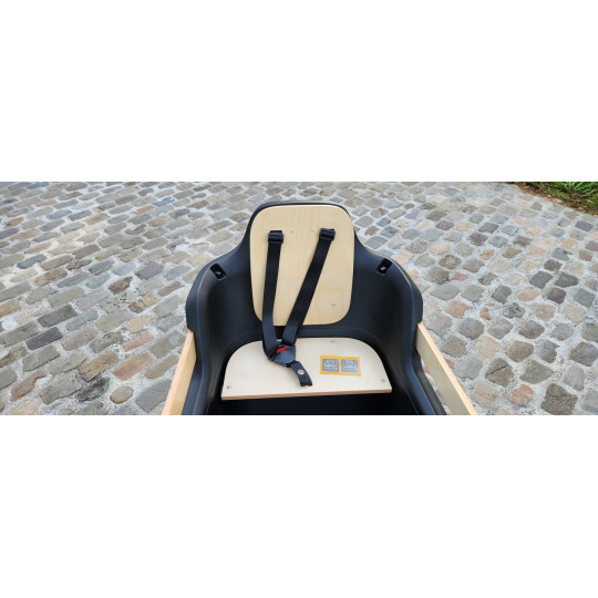 KidsCab Royal Deluxe 2 Elektro-Lastenrad - Enviolo Carbon Gates