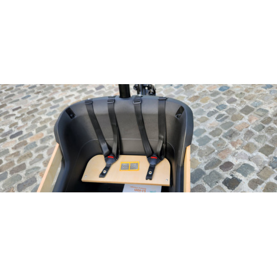 KidsCab Royal Deluxe 2 Electric Cargobike - Enviolo Carbon Gates