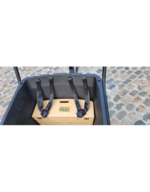 KidsCab Royal 3 Electric Cargo Bike