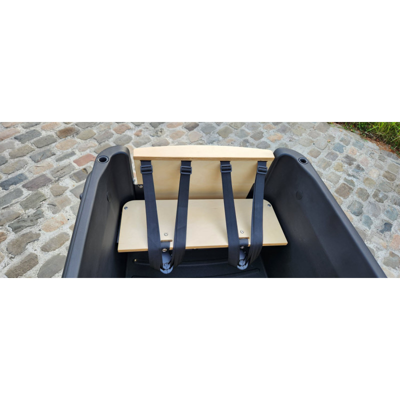 Triporteur électrique KidsCab Royal 3