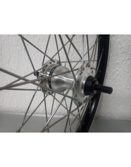 Cargo bike Troy 20 inch front wheel roller brakes