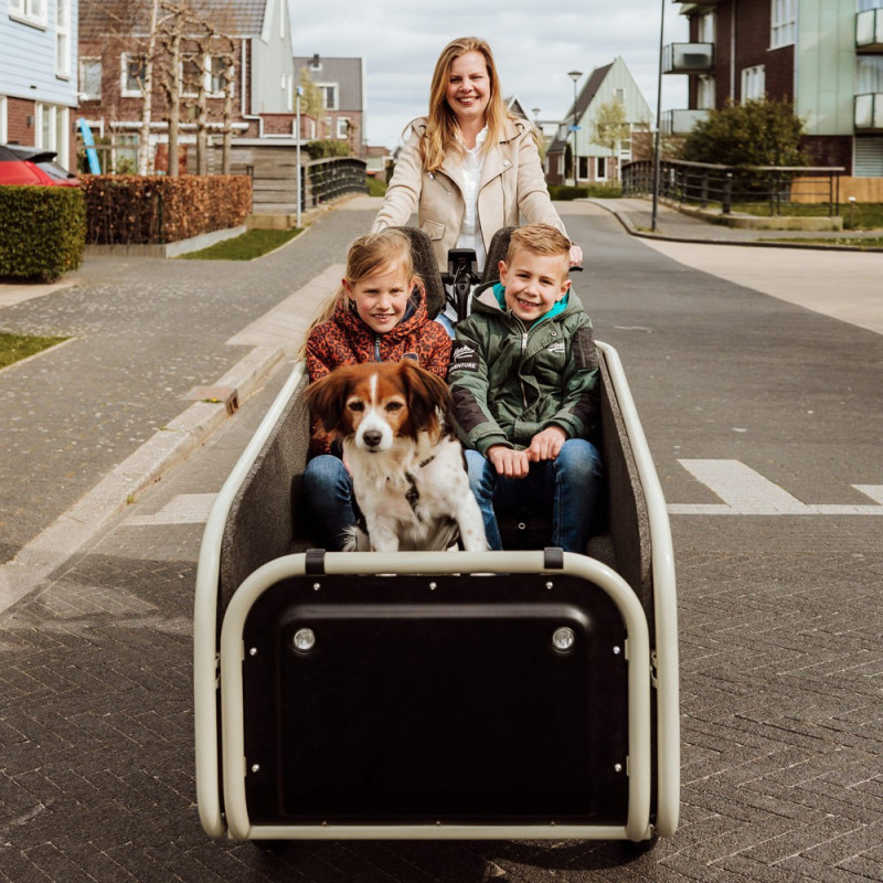 SociBike Family elektrisches Lastenfahrrad