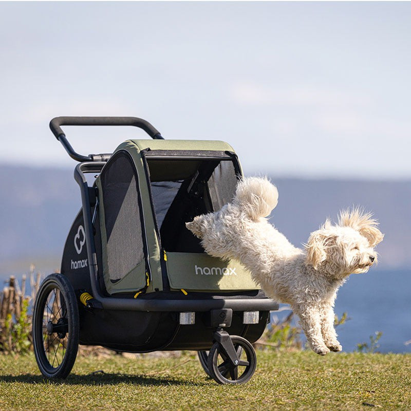 Hamax Pluto M Hondenfietskar – Veilig, Comfortabel & Compleet met Buggyset