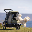 Hamax Pluto M Remorque Vélo pour Chien – Transport sûr et confortable jusqu’à 35 kg