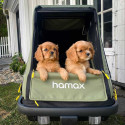 Hamax Pluto M Hundeanhänger – Sicherer und komfortabler Transport bis 35 kg