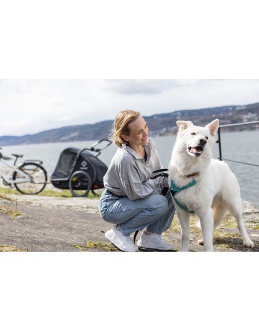 Hamax Pluto Large hondenfietskar