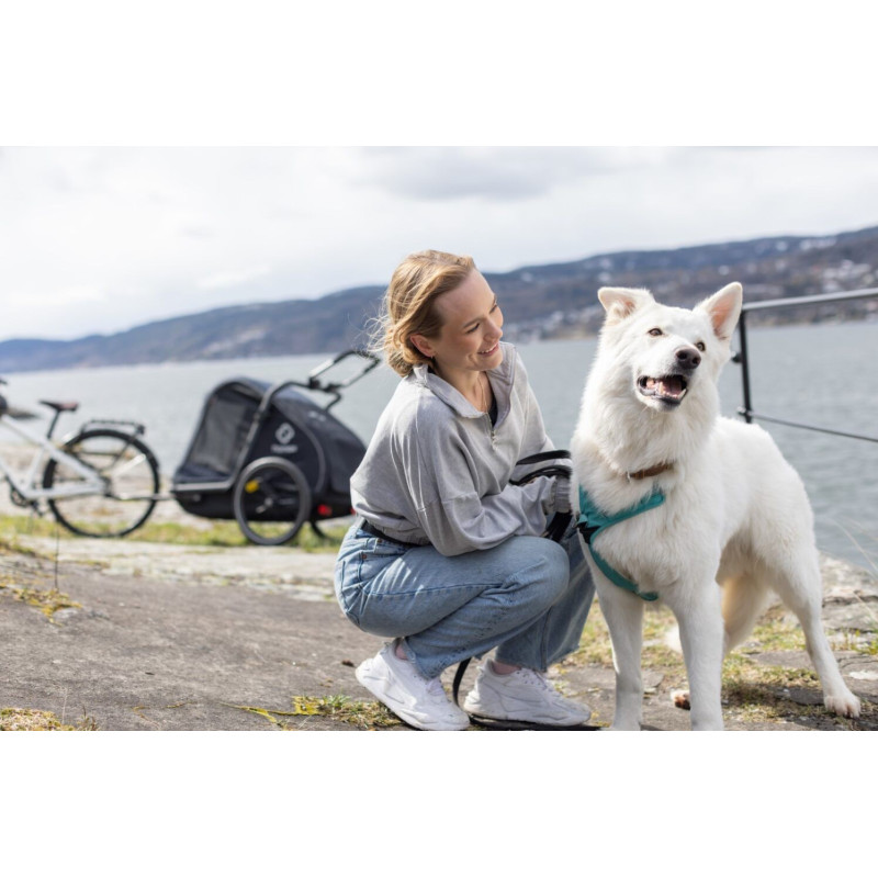Hamax Pluto Grande remorque à vélo pour chien