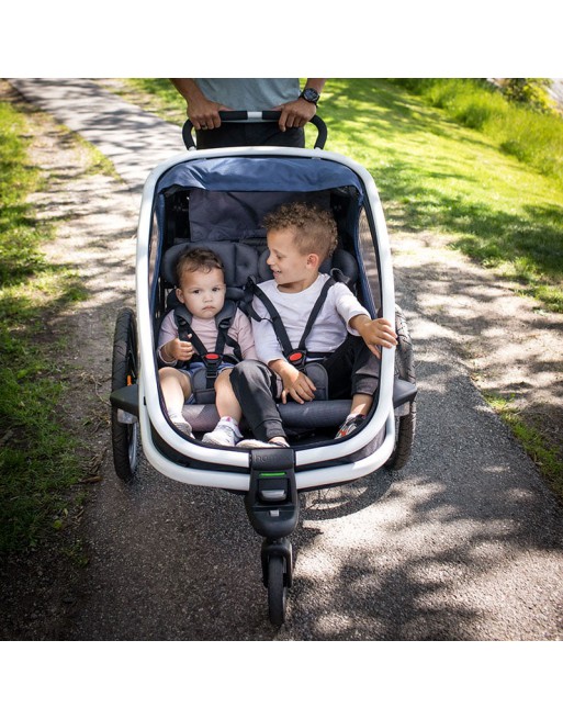 Hamax outback 2 fietskar met vering