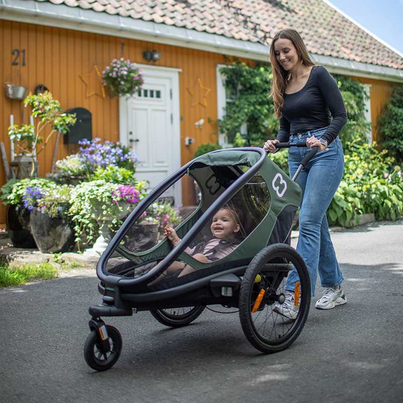 Hamax outback 2 fietskar met vering
