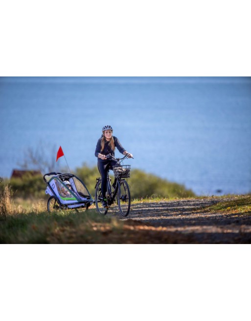 Hamax Breeze One Fahrradanhänger