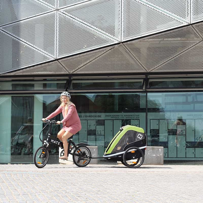 Hamax Avenida One fietskar