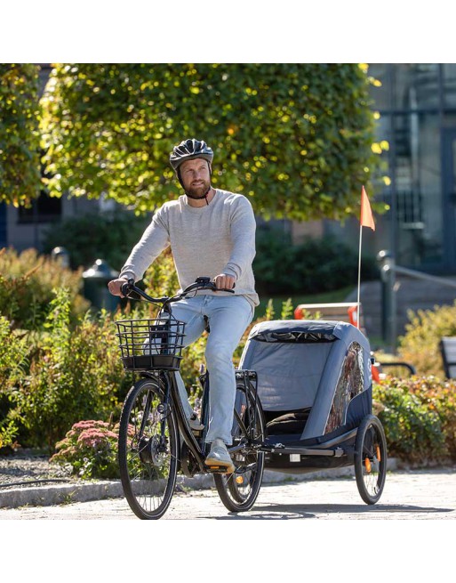 Hamax Avenida Twin Fahrradanhänger