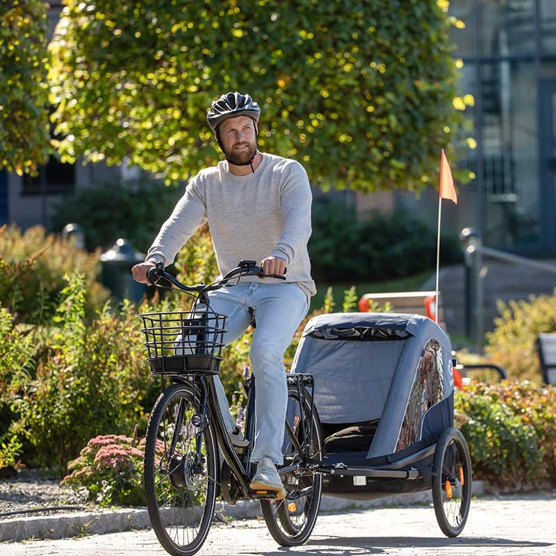 Hamax Avenida Twin fietskar