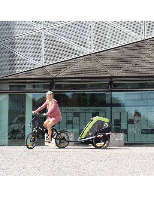 Hamax Avenida Twin fietskar