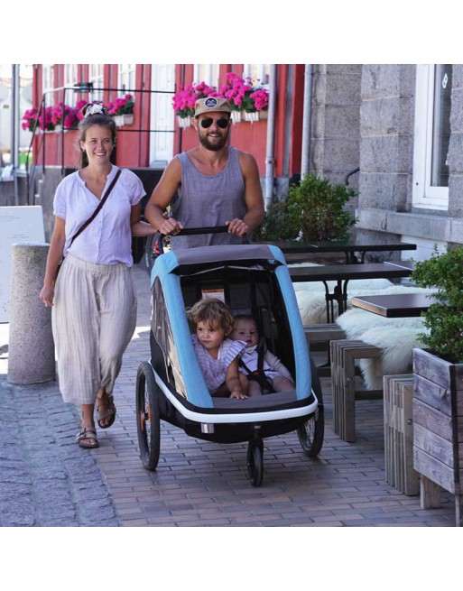 Hamax Avenida Twin bicycle trailer
