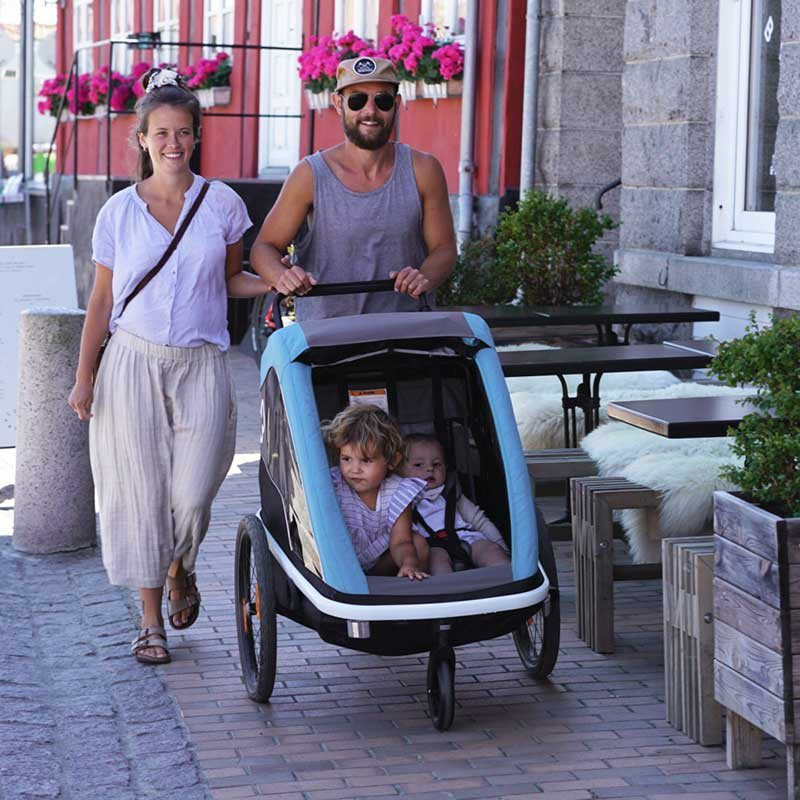 Hamax Avenida Twin Fahrradanhänger