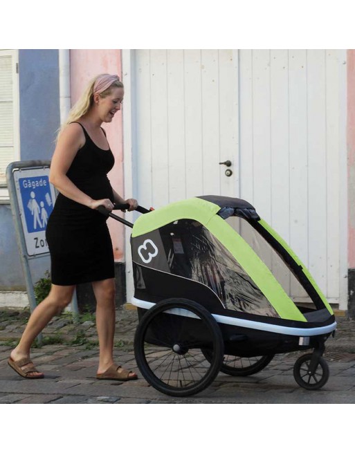 Hamax Avenida Twin fietskar