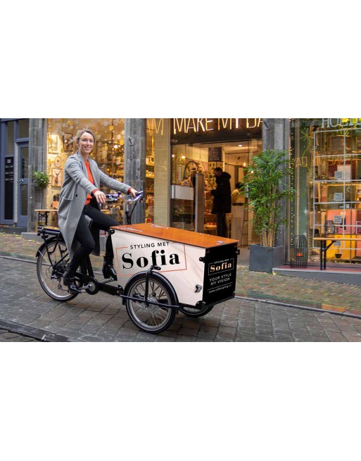 Babboe Pro Trike Transporter Lastenfahrrad (265 L)