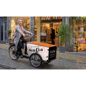 Vélo cargo Babboe Pro trike transporter cargo (265 L)
