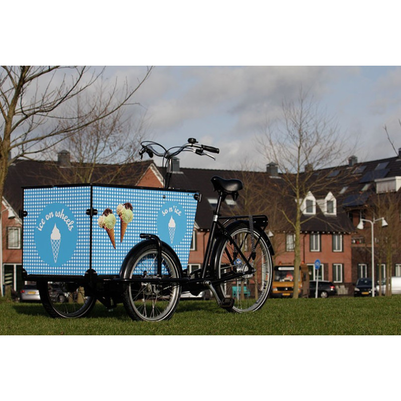 Babboe Pro Trike Transporter Lastenfahrrad (265 L)