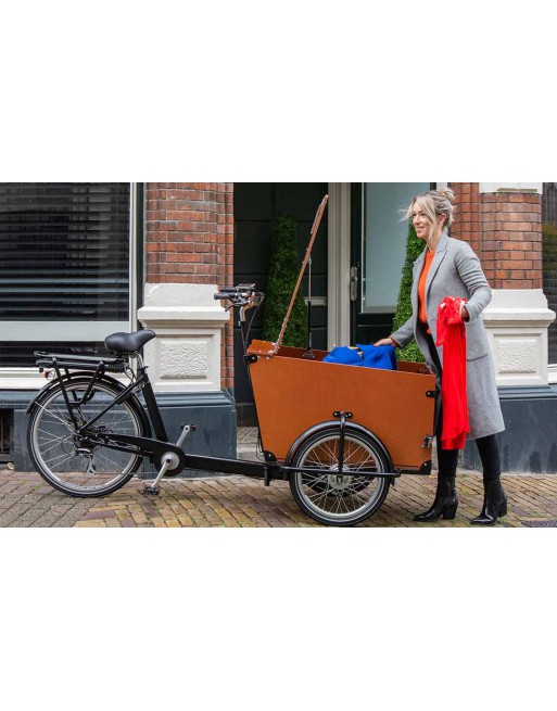 Babboe Pro Trike Transporter Lastenfahrrad (300 L)