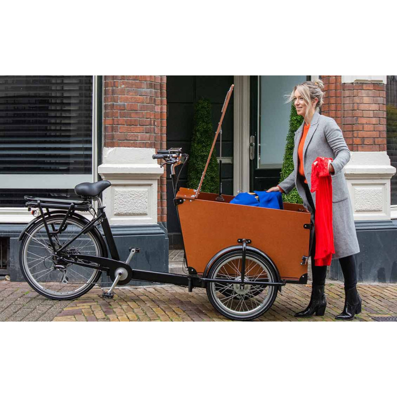 Babboe Pro trike transporter cargo bike (300 L)
