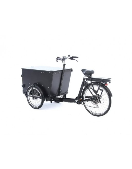 Babboe Pro trike transporter cargo bike (300 L)