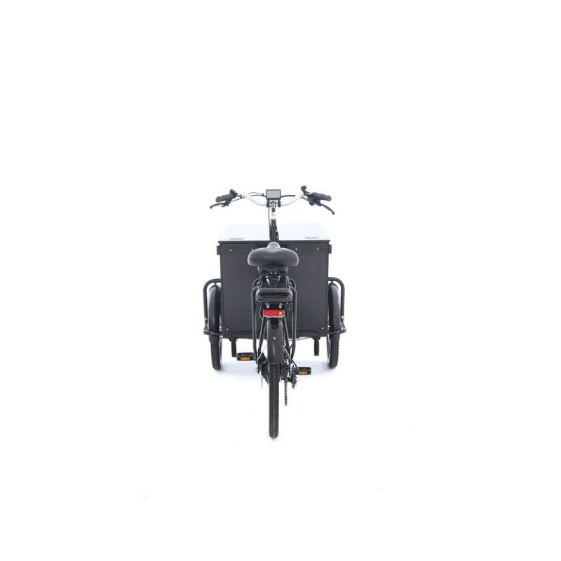 Babboe Pro trike transporter cargo bike (300 L)