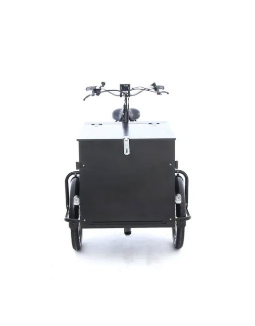 Babboe Pro Trike Transporter Lastenfahrrad (300 L)