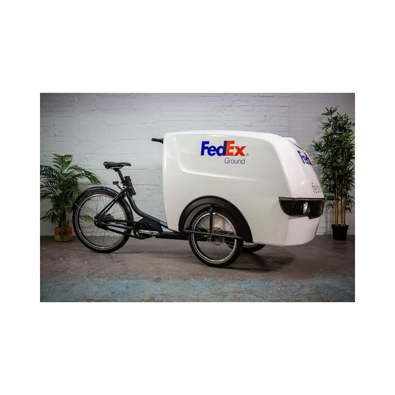 Babboe Pro trike XL cargo Trike big