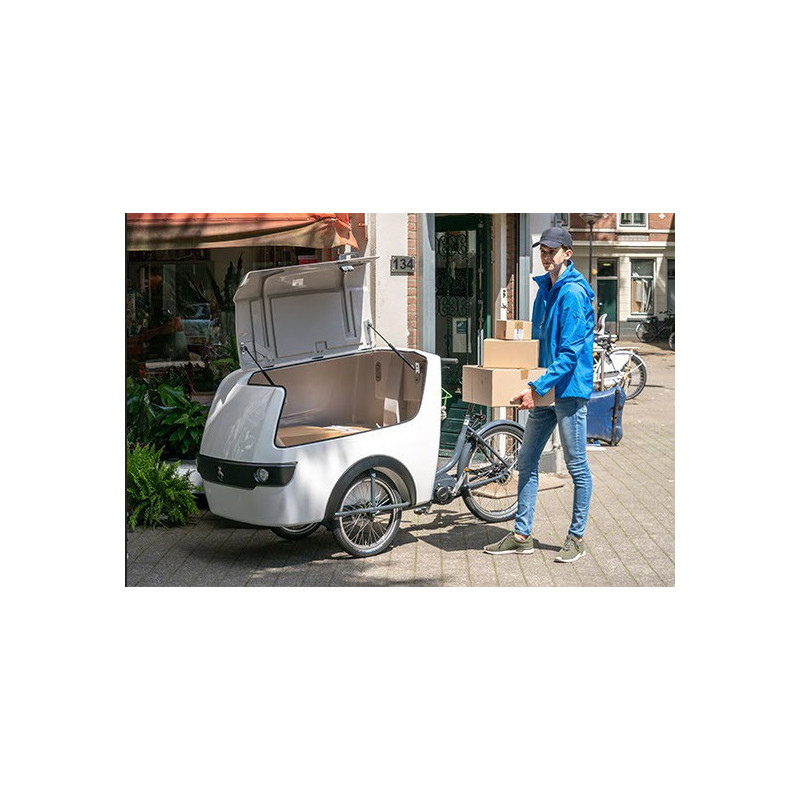Babboe Pro trike XL cargo Trike big