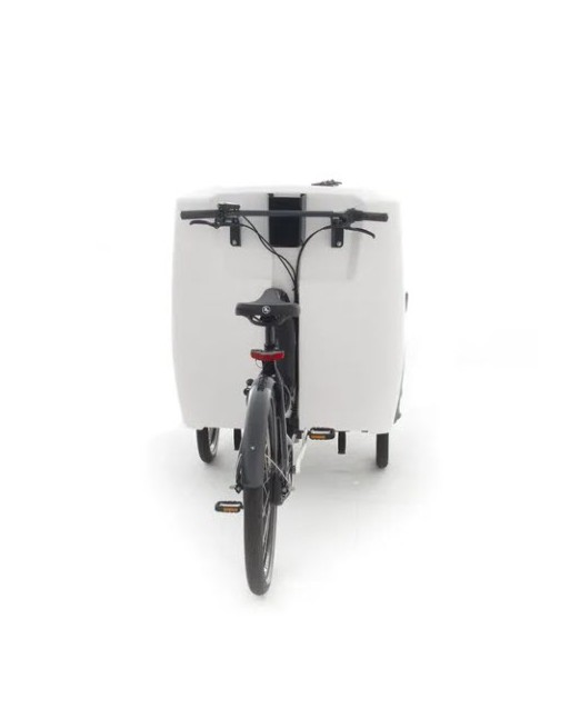 Babboe Pro trike XL cargo Trike big