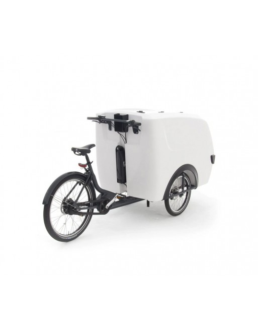 Babboe Pro trike XL cargo Trike big