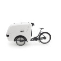 Babboe Pro Trike XL Lastenfahrrad