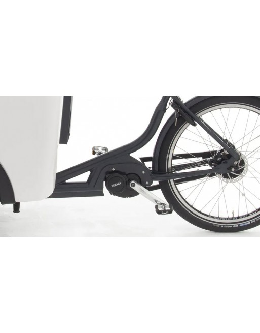 Babboe Pro trike XL cargo Trike big