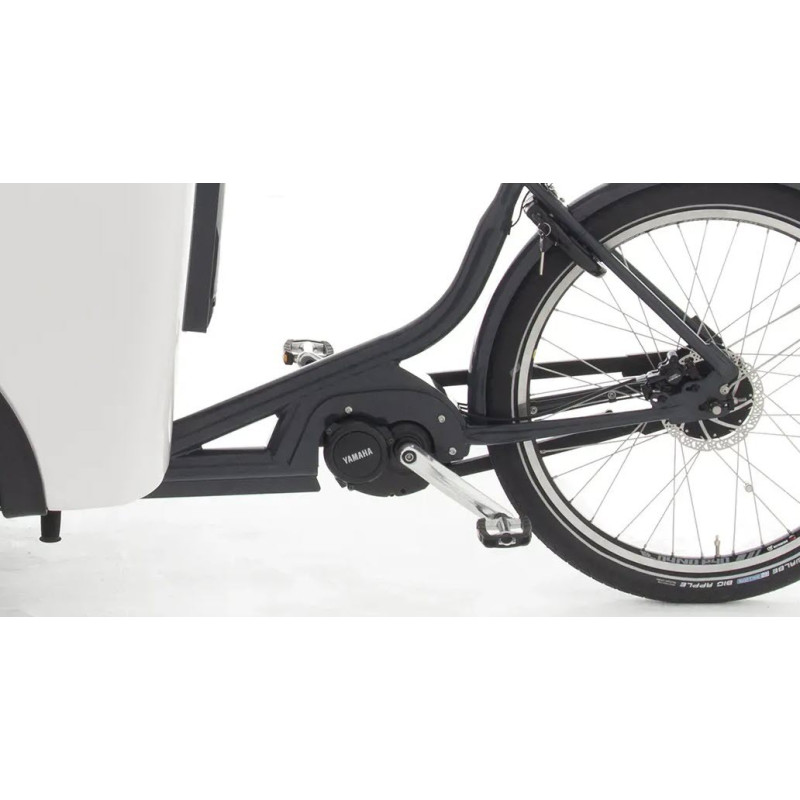 Babboe Pro Trike XL Lastenfahrrad