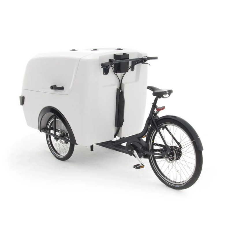 Babboe Pro trike XL cargo Trike big