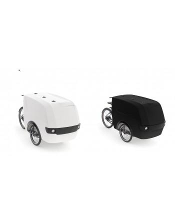 Babboe Pro trike XL cargo bakfiets