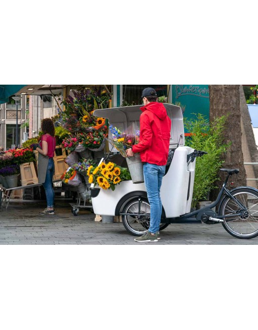 Babboe Pro Trike XL Lastenfahrrad