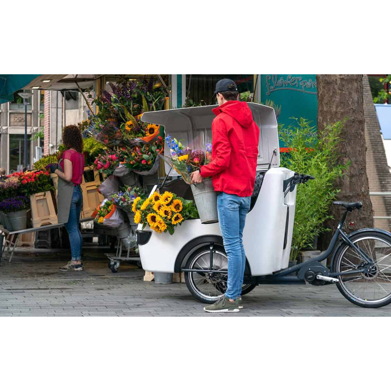 Babboe Pro trike XL cargo bakfiets