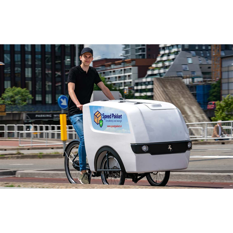 Babboe Pro Trike XL Lastenfahrrad