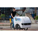 Babboe Pro Trike XL Lastenfahrrad