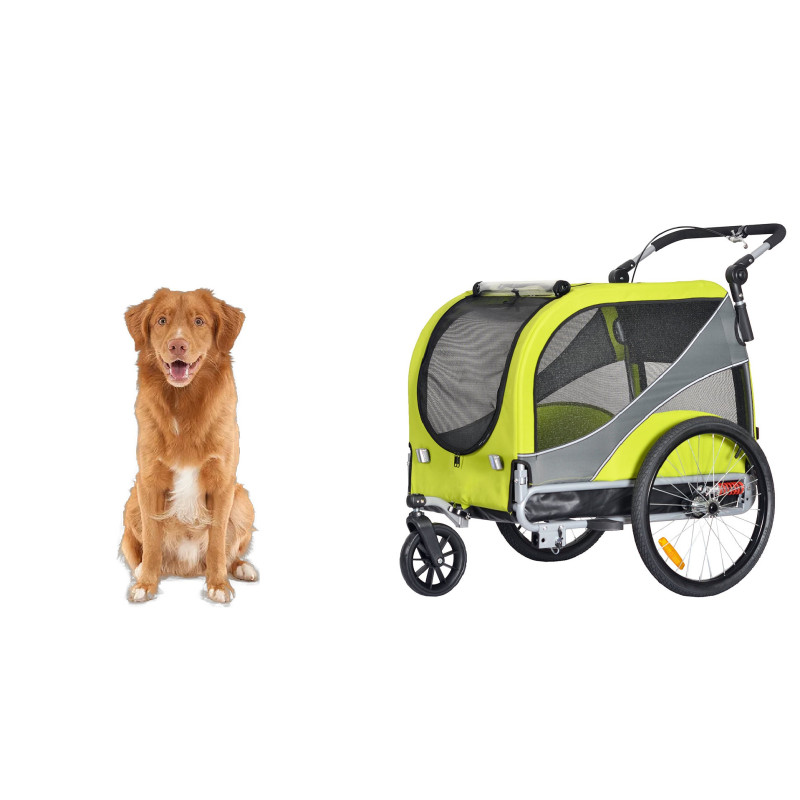 KidsCab Woof Large Hundefahrradanhänger mit Federung