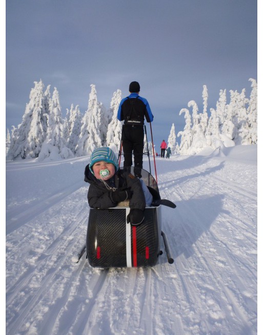 Scandinavian side bike kit ski